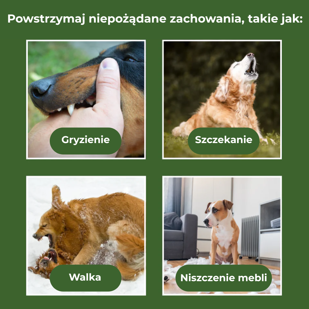Antyszczekacz X – zatrzymuje szczekanie i inne niepożądane zachowania
